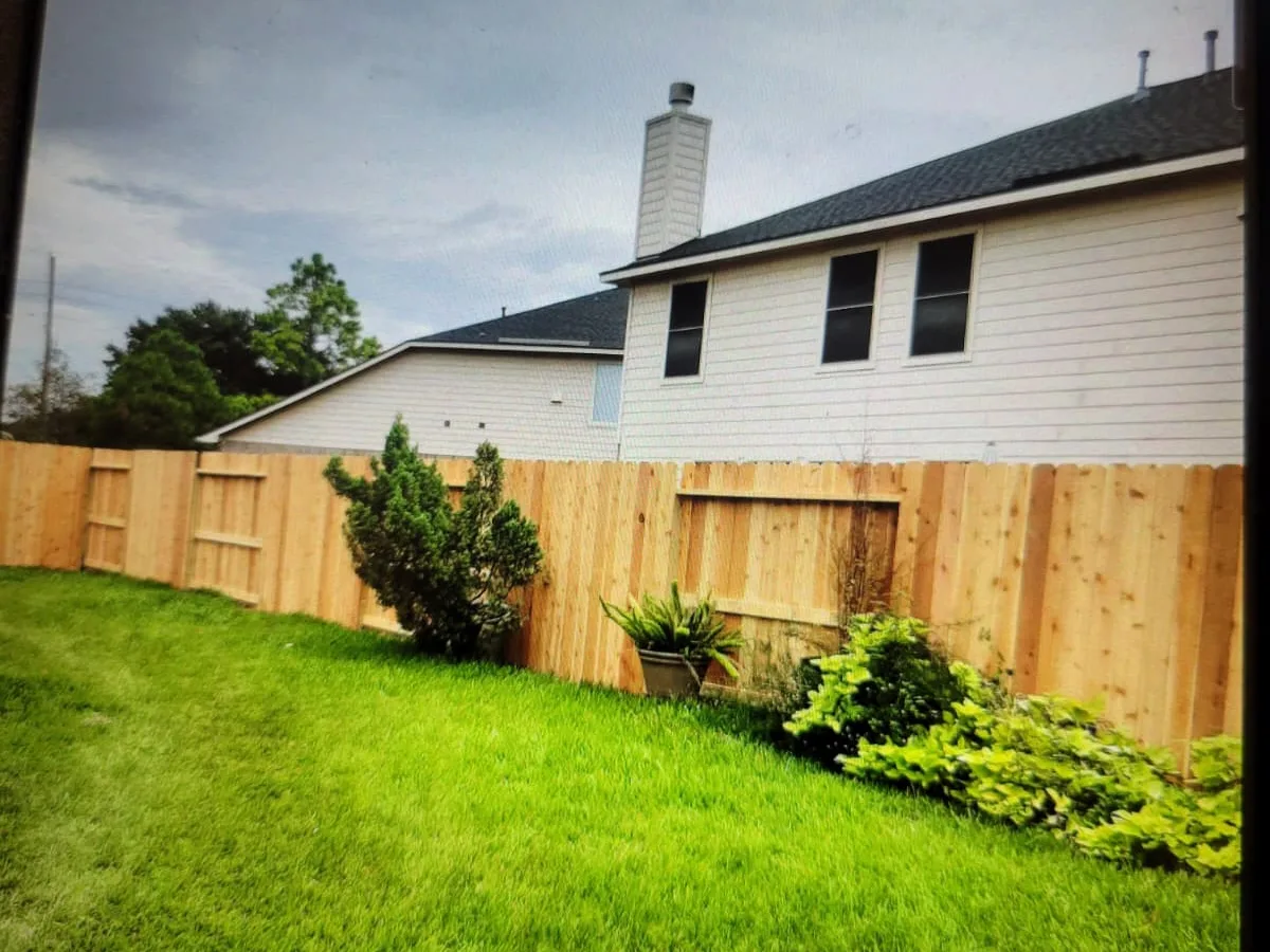 New wood fence behind a bright green lawn and shrubs