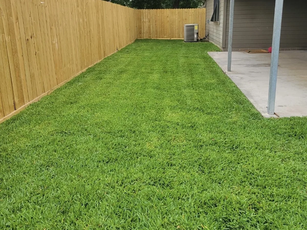 Freshly installed sod lawn beside a new fence and patio