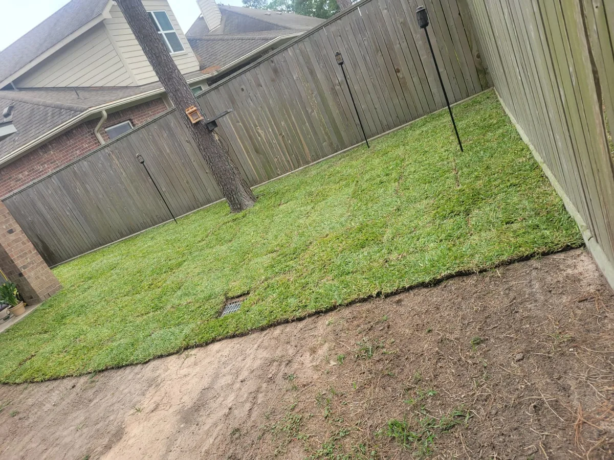New sod rolled out along a fence line