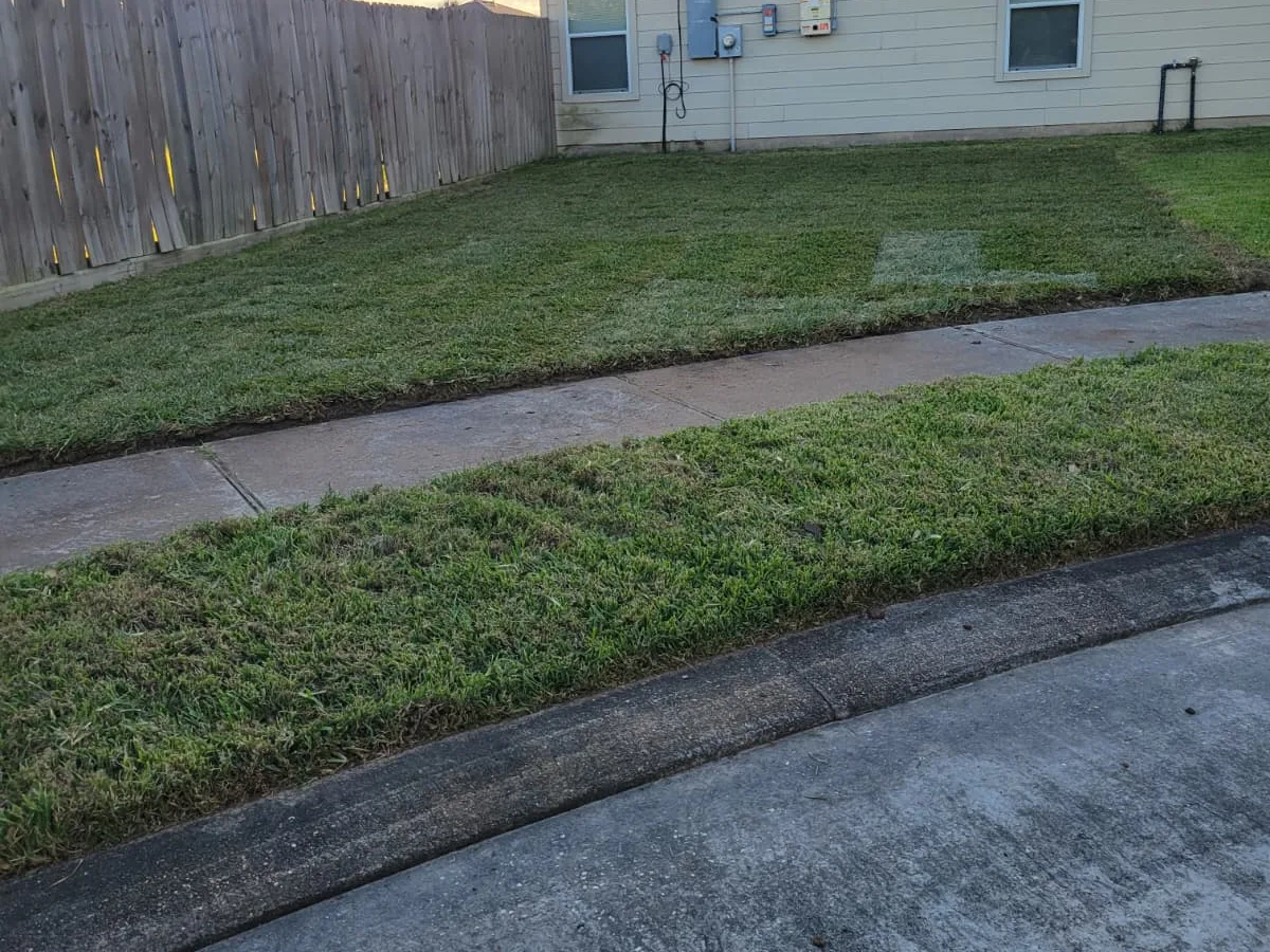 Front yard with new sod and a trimmed edge along the drive