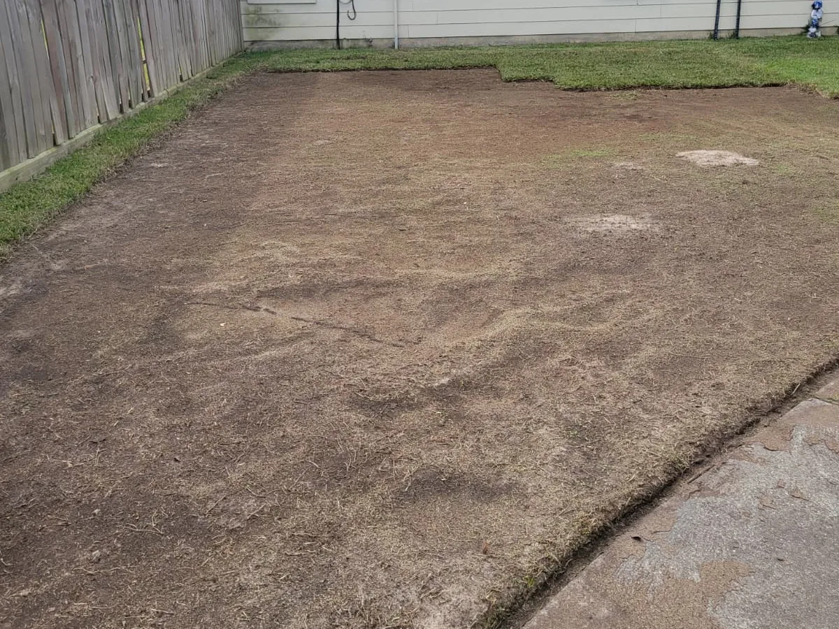 Bare dirt backyard before sod installation